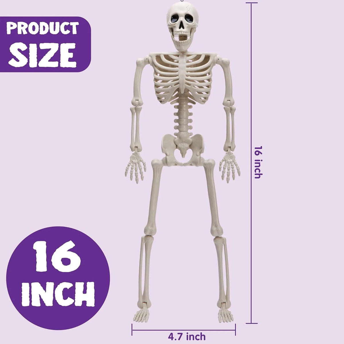 Squelette d'Halloween suspendu