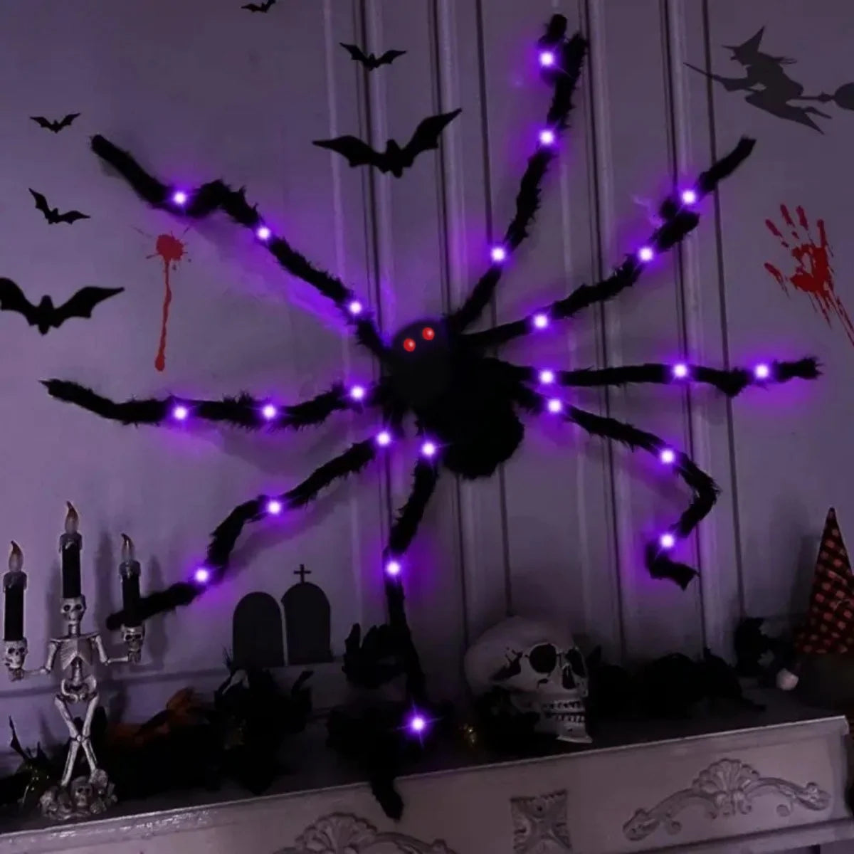 Gros plan sur l'araignée poilue décorative